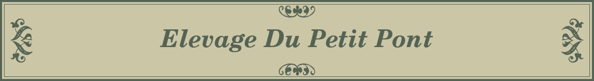 Elevage Du Petit Pont